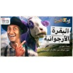 ⁦البقرة الأرجوانية⁩ - الصورة ⁦2⁩