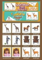 ⁦بطاقات تعليمية للأطفال – ما المشكلة؟⁩ - الصورة ⁦2⁩