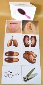 ⁦بطاقات تعليمية للأطفال – الحواس والجسم والملابس والأغراض الشخصية⁩ - الصورة ⁦2⁩