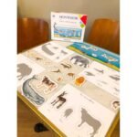 Clementoni – Mon coffret Montessori des animaux