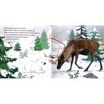 ⁦Une aurore boréale pour Petit Ours – livre sonore⁩ - الصورة ⁦6⁩