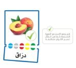 ⁦لعبة تعلم الأسماء بالعربية – أكثر من 100 بطاقة (تعلم ذاتي)⁩ - الصورة ⁦3⁩