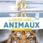 Mon grand livre des animaux – documentaire