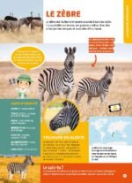 ⁦Mon grand livre des animaux – documentaire⁩ - الصورة ⁦2⁩