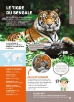 ⁦Mon grand livre des animaux – documentaire⁩ - الصورة ⁦4⁩