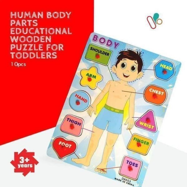 Puzzle en bois – Les parties du visage