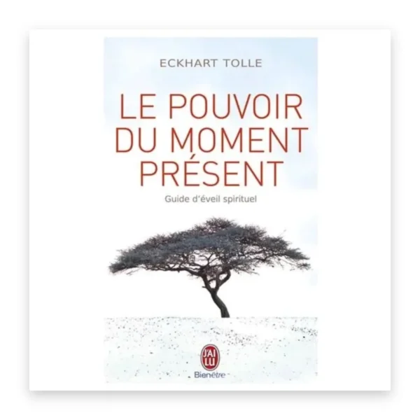 Le pouvoir du moment présent