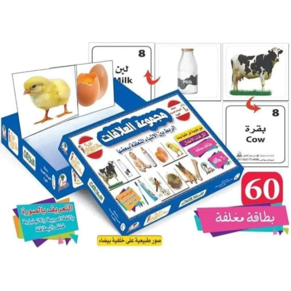 rewak-hd-3396 بطاقات تعليمية للأطفال – العلاقات والارتباطات