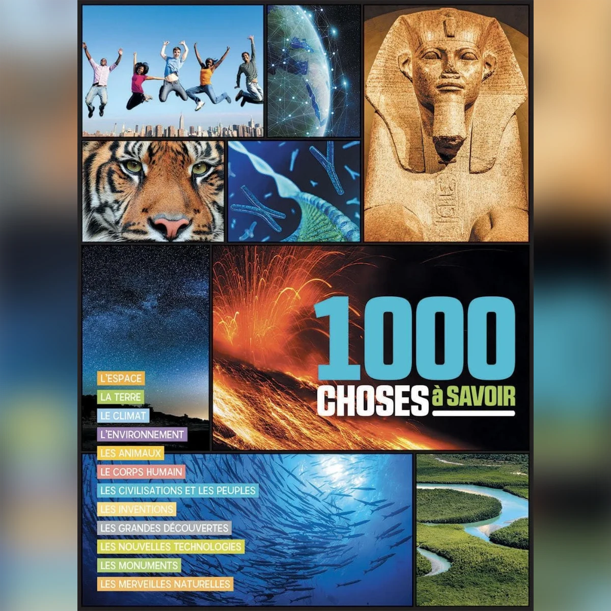 rewak-hd-3486 1000 choses à savoir