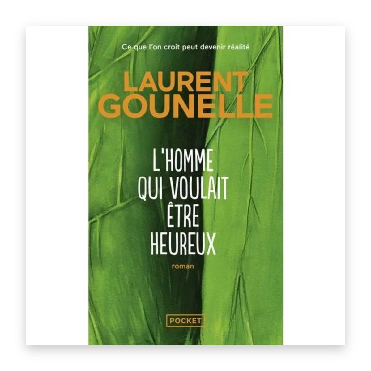 rewak-hd-4001 L'homme qui voulait être heureux